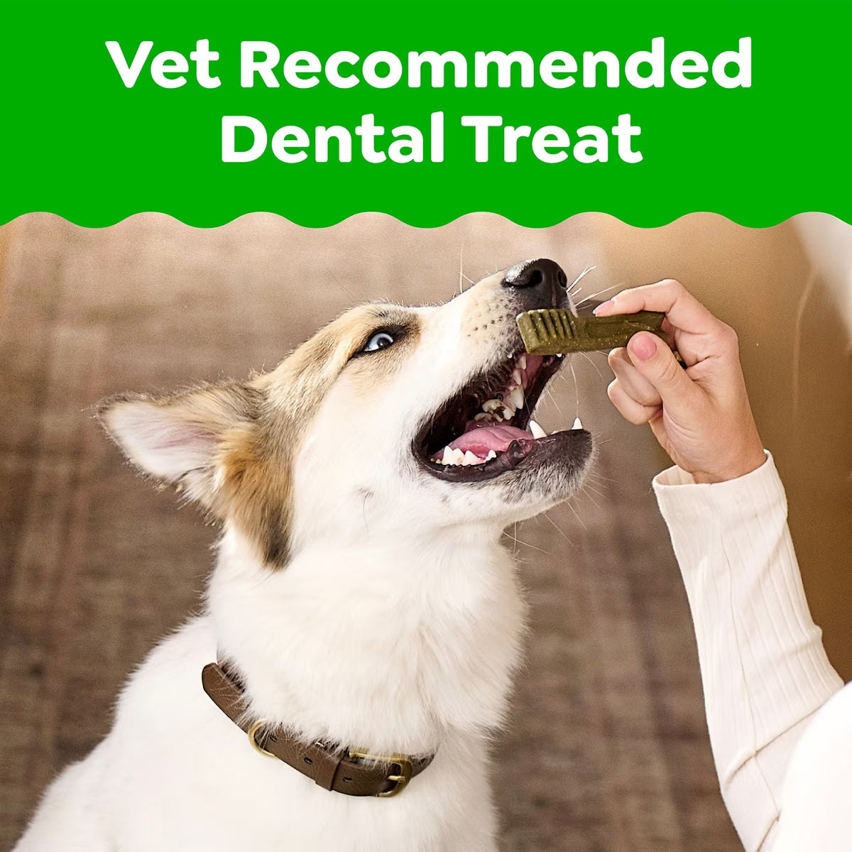 Greenies Petite Original Chicken Flavored Dental Dog Treats 45pk