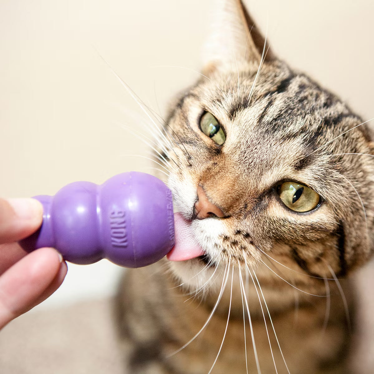 KON TOY KITTY KONG