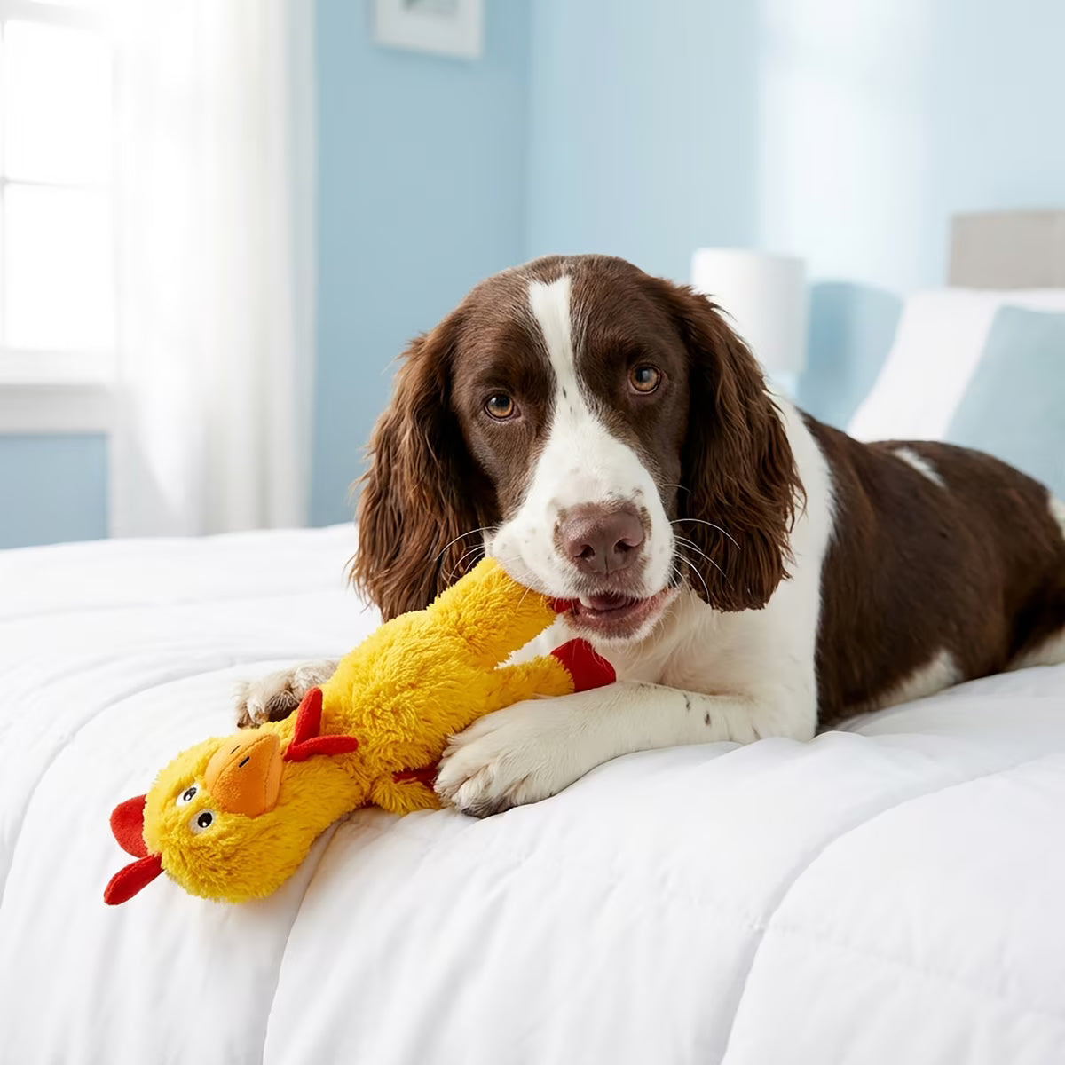 Kong Knots Chicken Plush Dog Toy Medium/Large