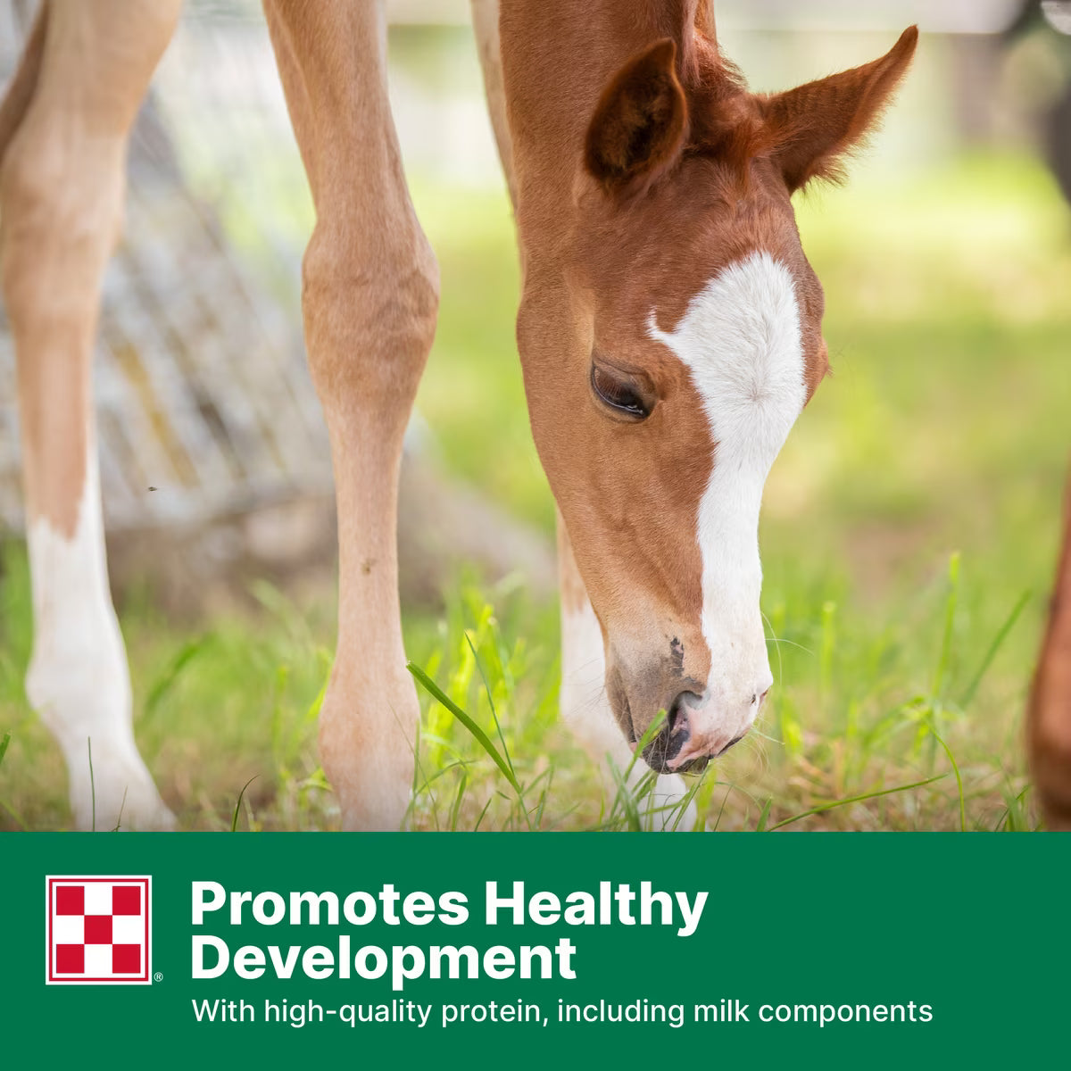 Purina Omolene 300 Mare & Foal Horse Feed 50lb