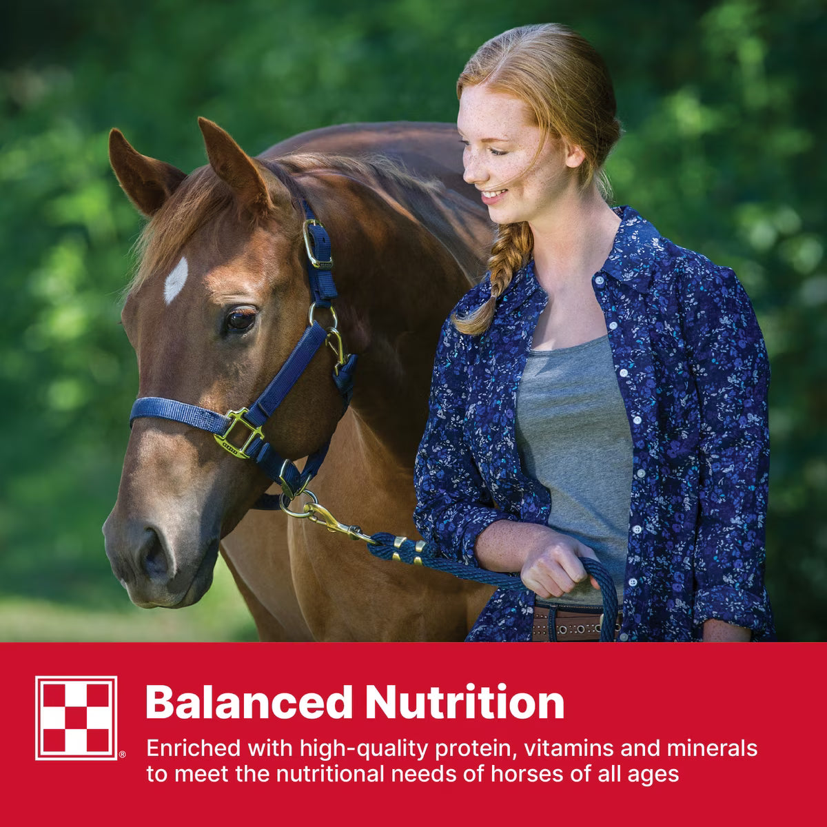 Purina Strategy Professional Formula Horse Feed 50lb