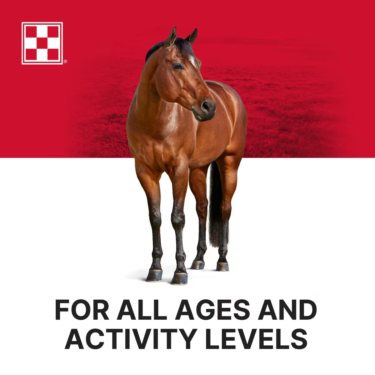 Purina Strategy Professional Formula Horse Feed 50lb