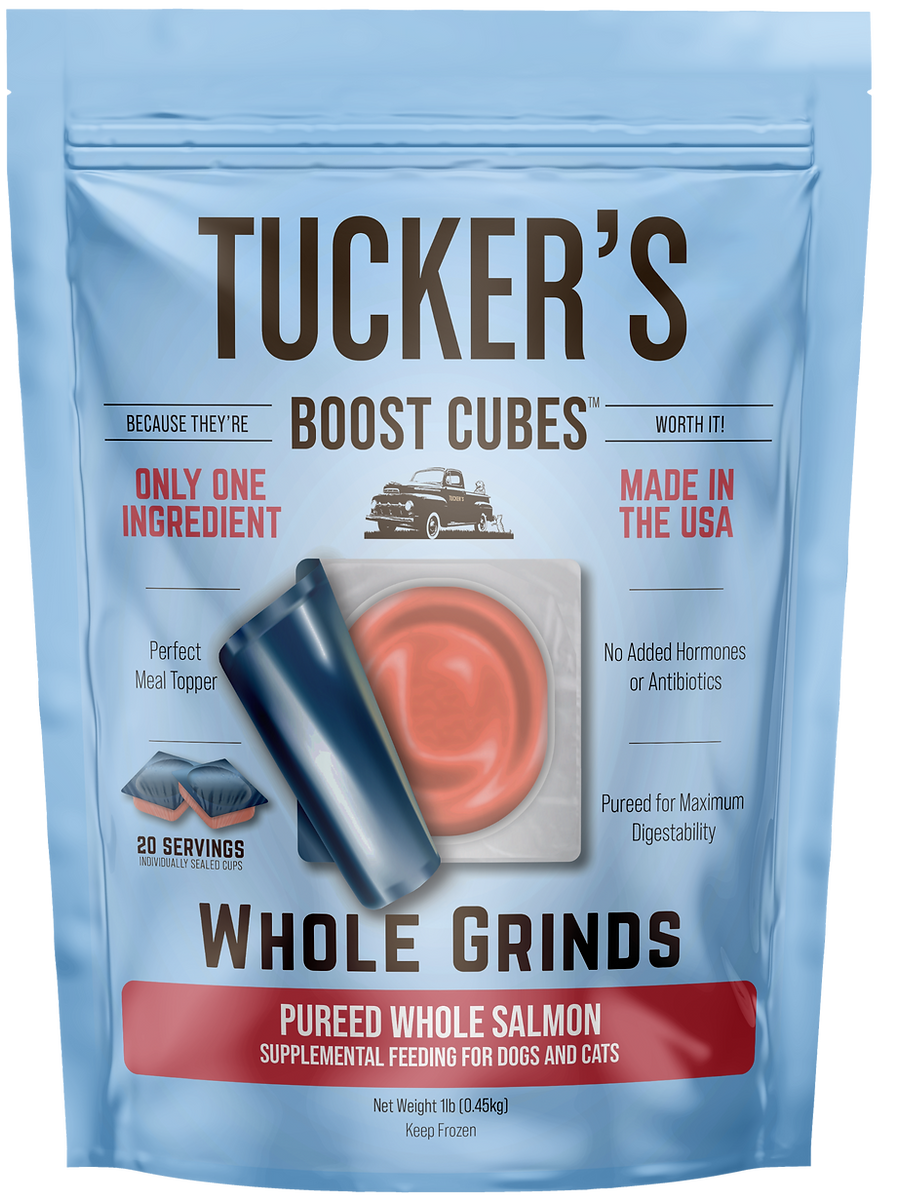 TUCKERS FROZEN RAW BOOST CUBES WHOLE SALMON PUREE 1 LB