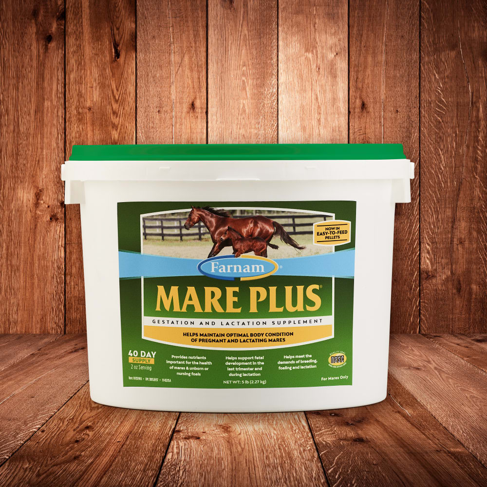 Farnam Mare Plus Gestation & Lactation Supplement for Horses 7.5lb
