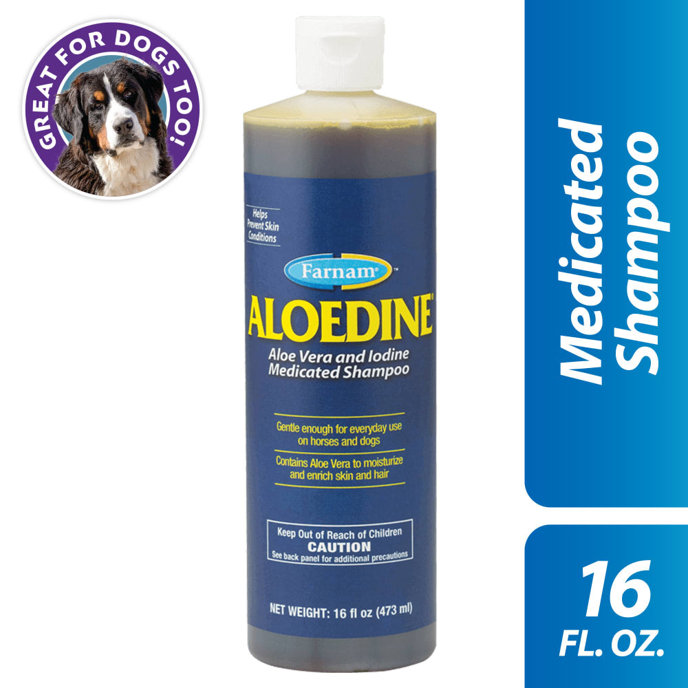 Farnam Aloedine Aloe Vera & Iodine Medicated Shampoo for Horses & Dogs 16oz