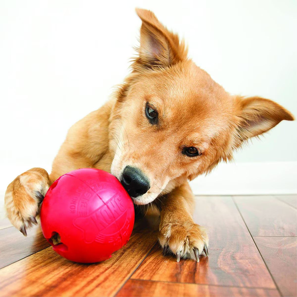 KONG BISCUIT BALL LARGE
