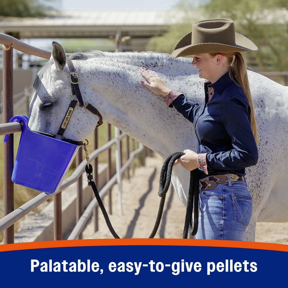 Farnam Cough Free Pellets Horse Supplement 1.75lb