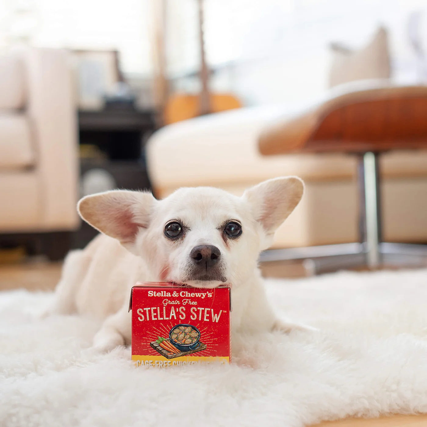 Stella and Chewy's Cage-Free Chicken Stew 11oz