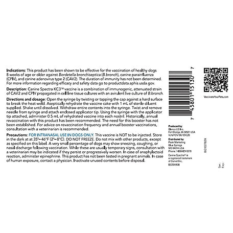 DOG SHOT BORDETELLA NASAIL