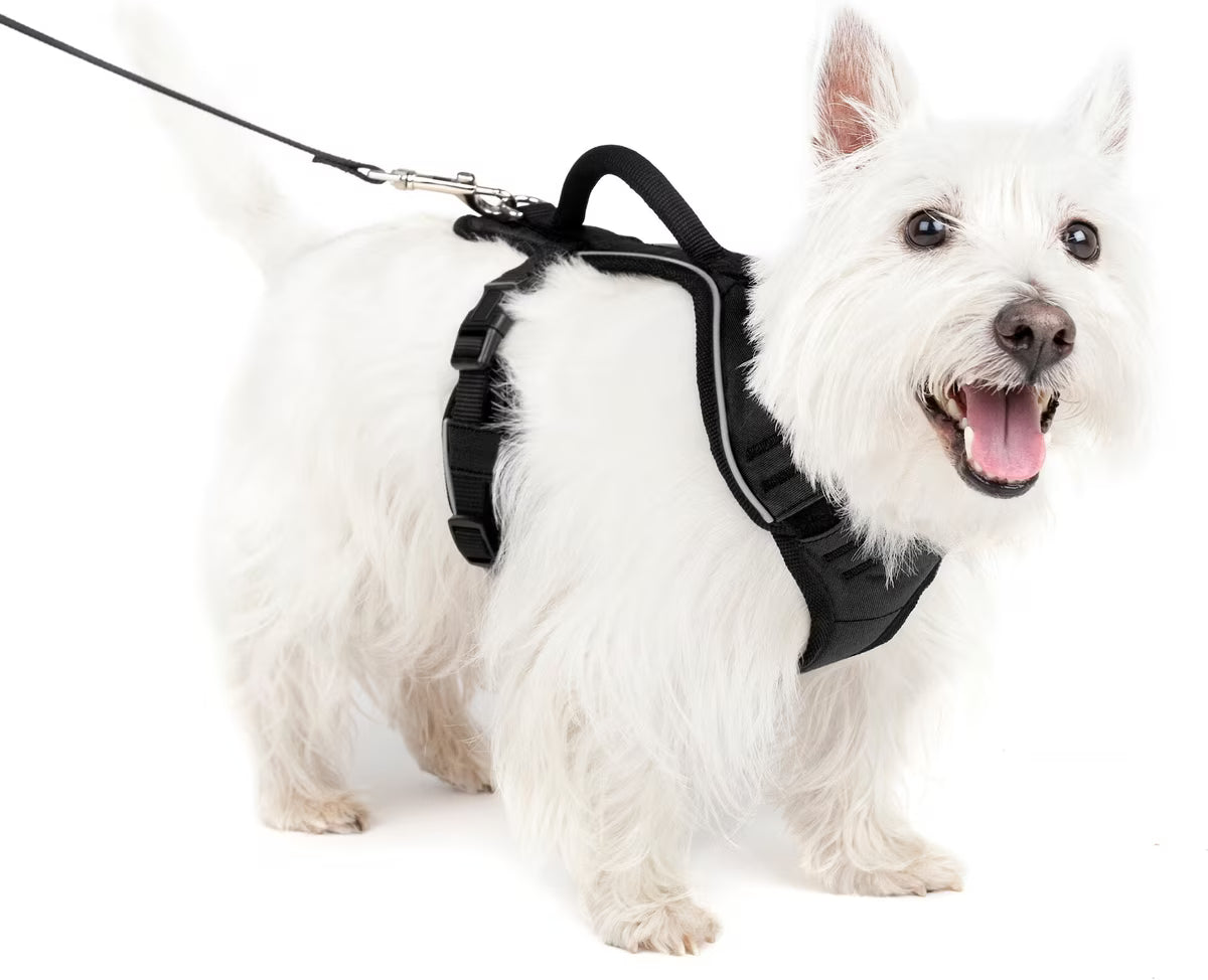 PetSafe EasySport Dog Harness Black Small