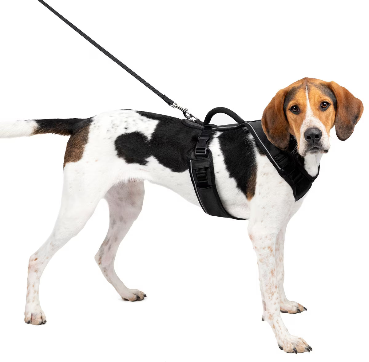 PetSafe EasySport Dog Harness Black Large