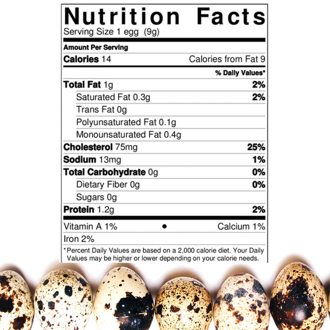 36 Quail Eggs for Hatching - Fertile Coturnix Selection Hens Choice, AI & NPIP Certified, Sustainably Sourced from Family-Run Farms, Farm Fresh Delivery with Minimal Breakage