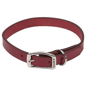 OAK LEATHER TOWN COLLAR 3/4'X1