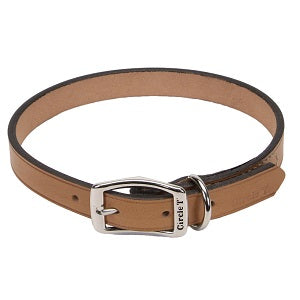 OAK LEATHER TOWN COLLAR 3/4'X1
