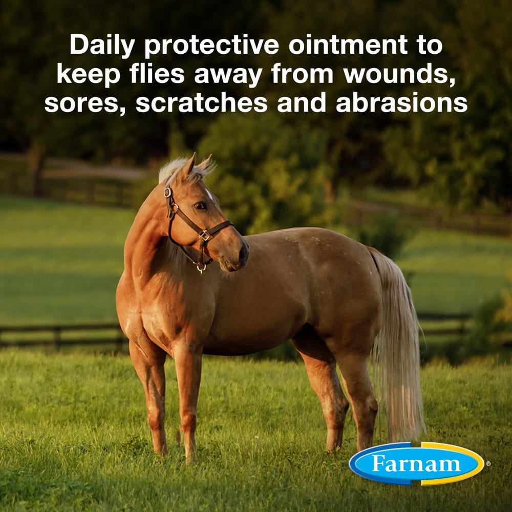 Farnam SWAT Fly Repellent Pink Ointment for Horses & Dogs 6oz