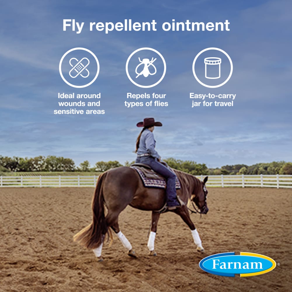 Farnam SWAT Fly Repellent Pink Ointment for Horses & Dogs 6oz