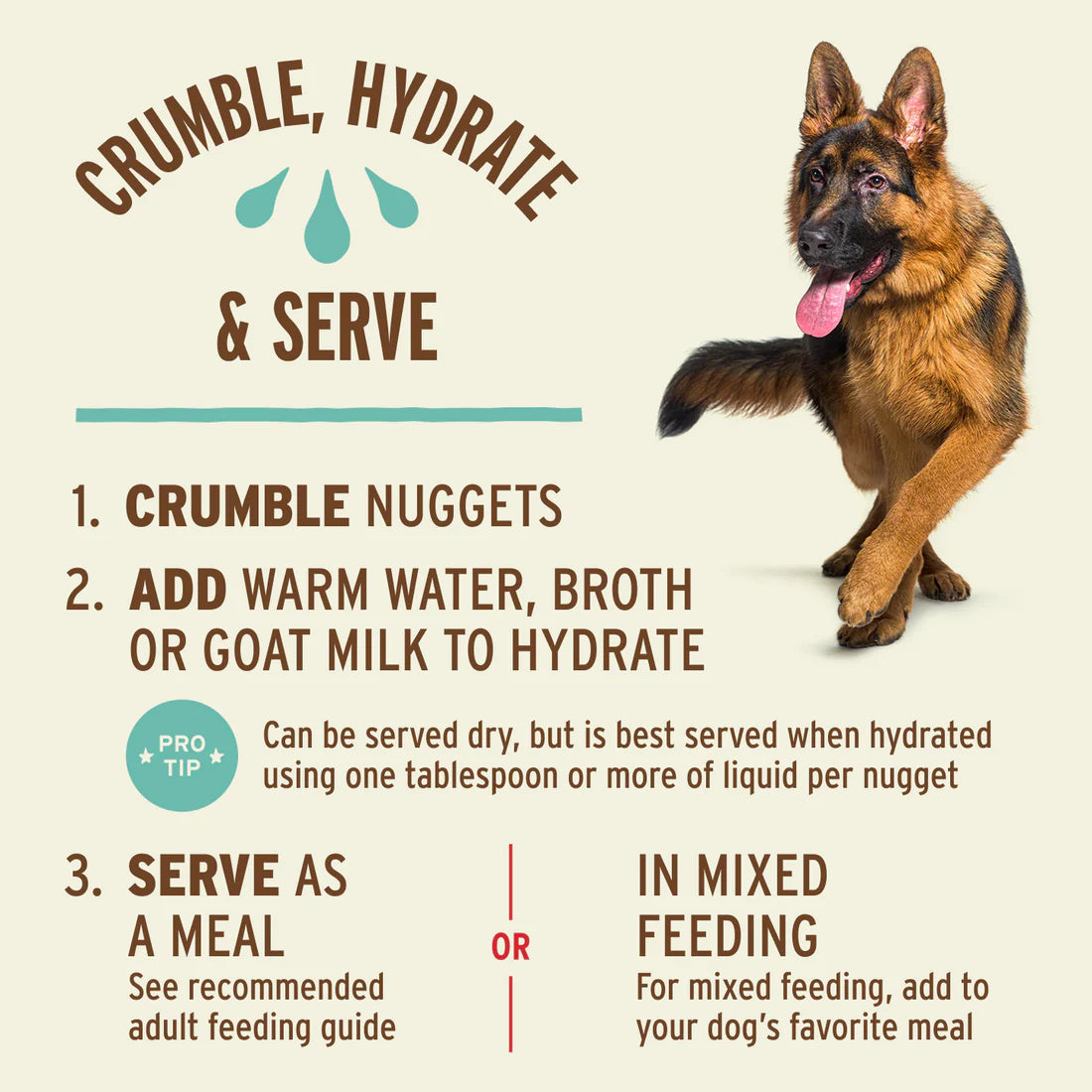Primal Freeze-Dried Nuggets Beef Formula for Dogs 5.5oz
