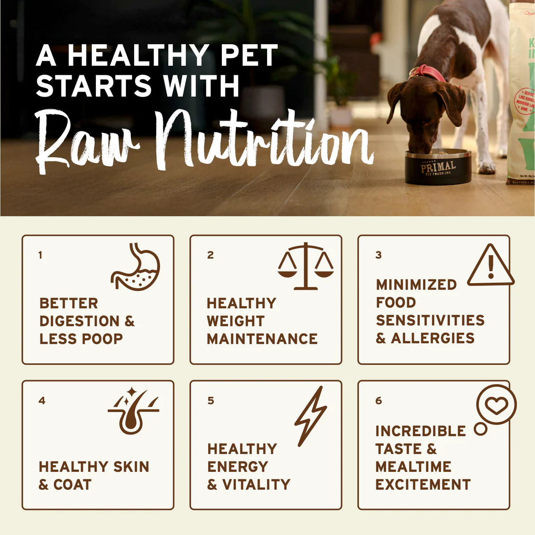 Primal Freeze-Dried Grain-Free Duck Nuggets for Dogs 14oz