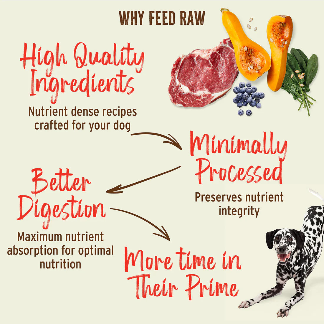 Primal Freeze-Dried Grain-Free Duck Nuggets for Dogs 14oz