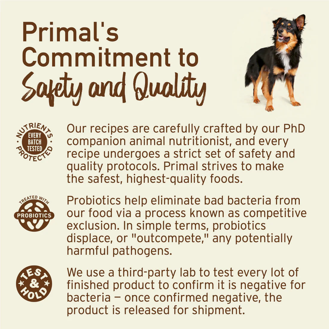 Primal Freeze-Dried Grain-Free Duck Nuggets for Dogs 14oz