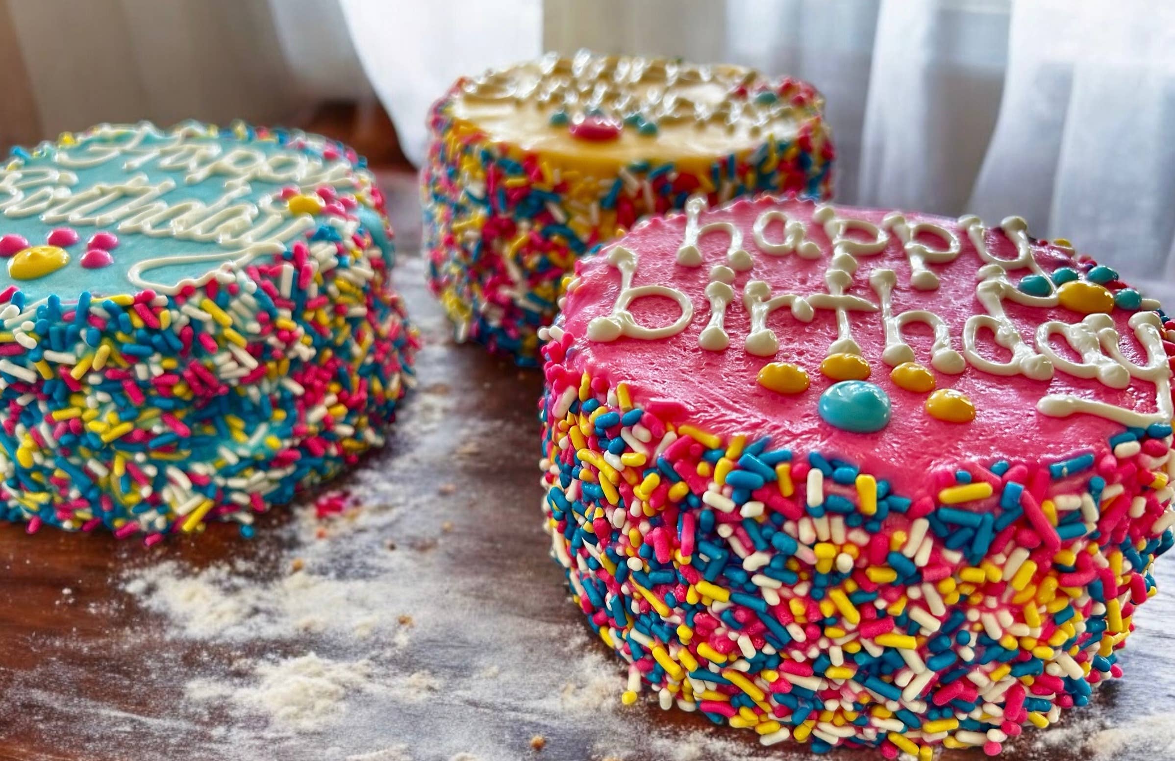 Colorful FIESTA Sprinkle Doggie Cake Treat