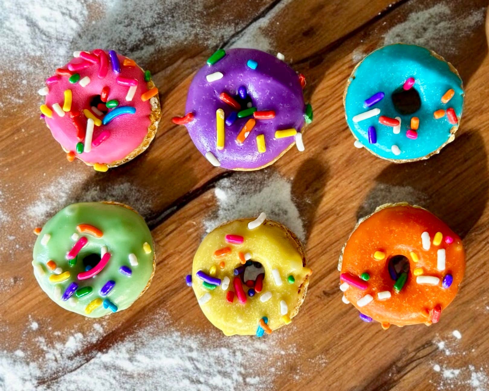 Mini 🍩 donut dog treats