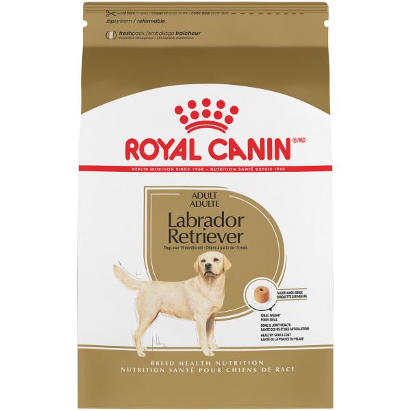 RC Labrador Ret 30 Dog 30
