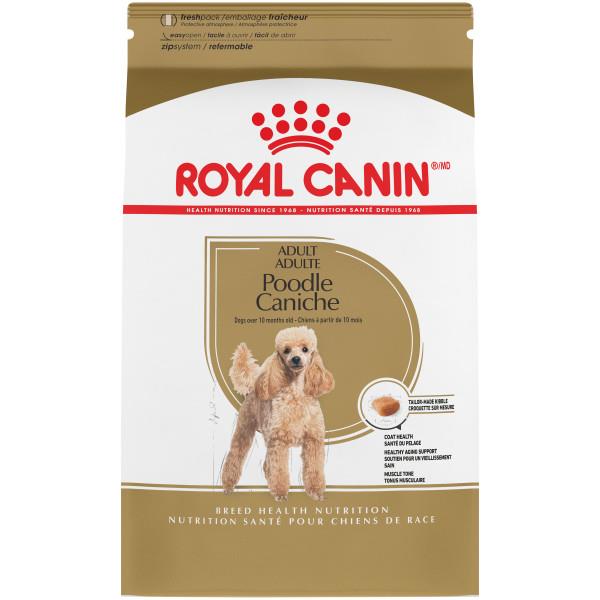 RC Poodle 30 Dog 10