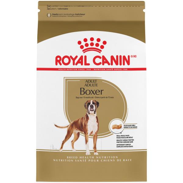 RC BOXER DOG 30