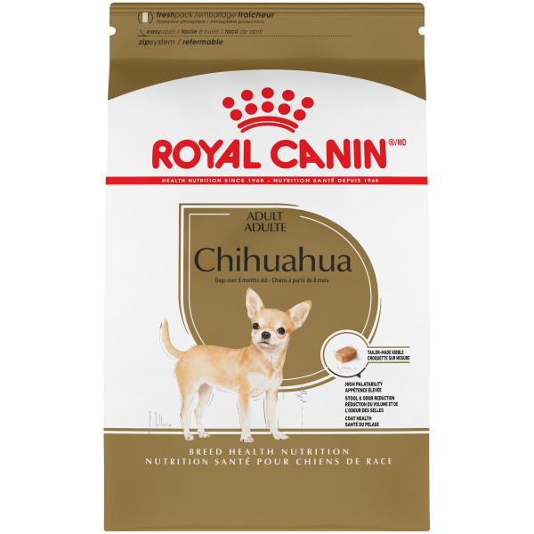 RC Chihuahua 10