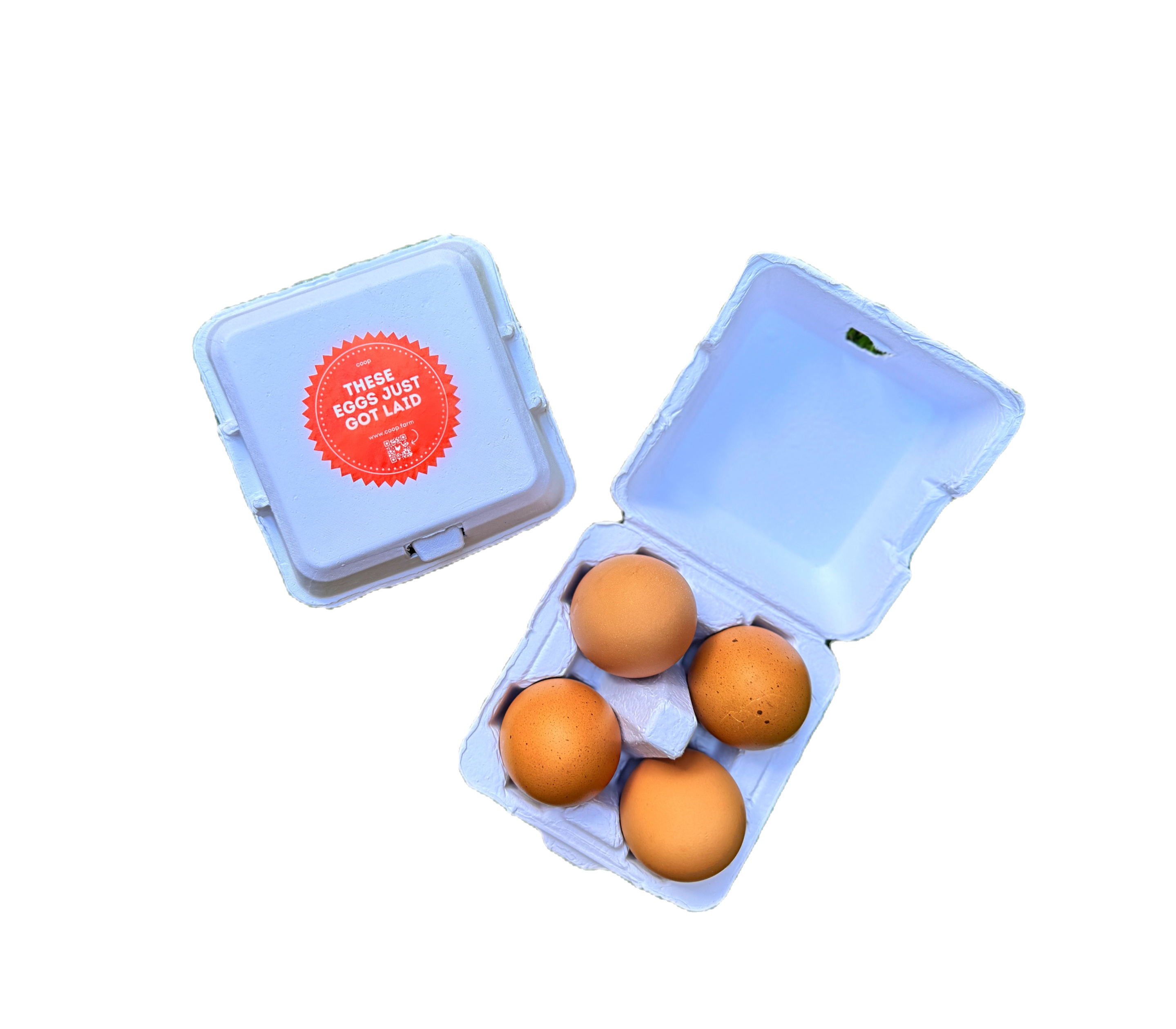 "Just Got Laid" 4-Egg Carton