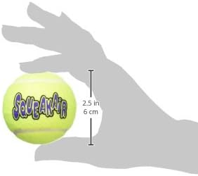SQUEAKER TENNIS BALL
