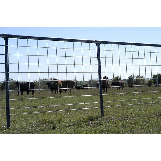 PANEL CATTLE 16' X 50" (Special Buy)