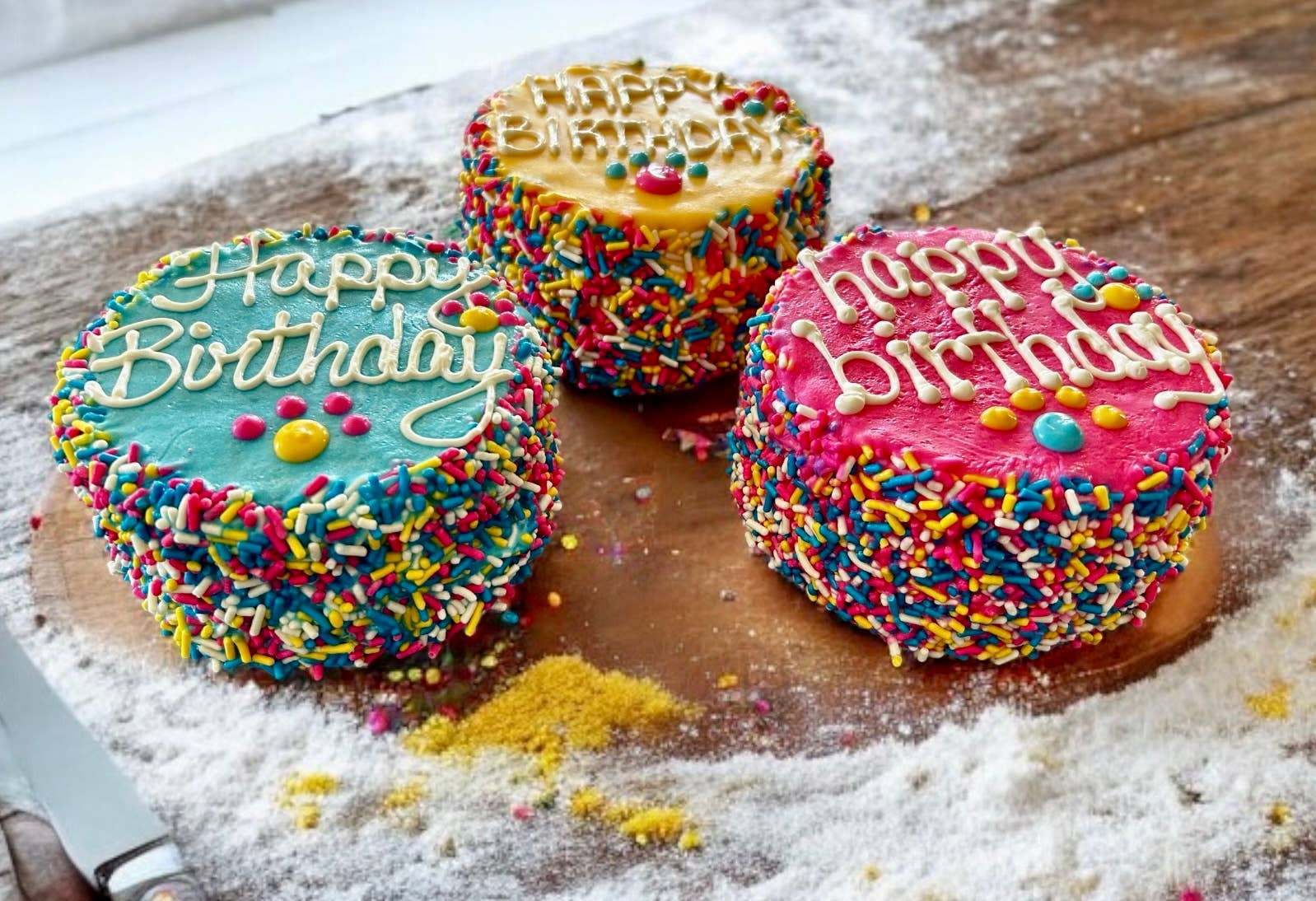 Colorful FIESTA Sprinkle Doggie Cake Treat