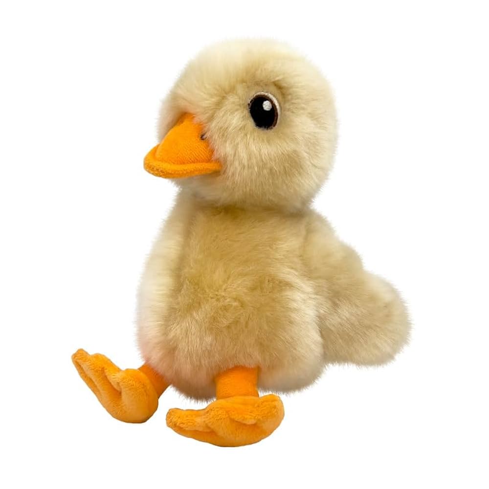 KON TOUGHZ DUCK MD