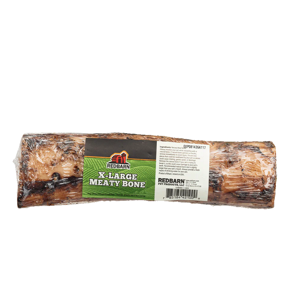 RB MEATY FEMAR BONE 9IN