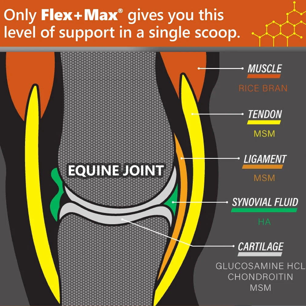 Absorbine Flex+Max Joint Health Supplement Pellets for Horses 10lb