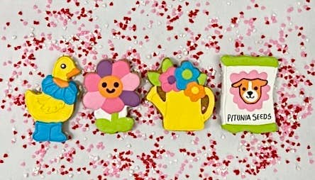 Colorburst Spring Bloom Collection