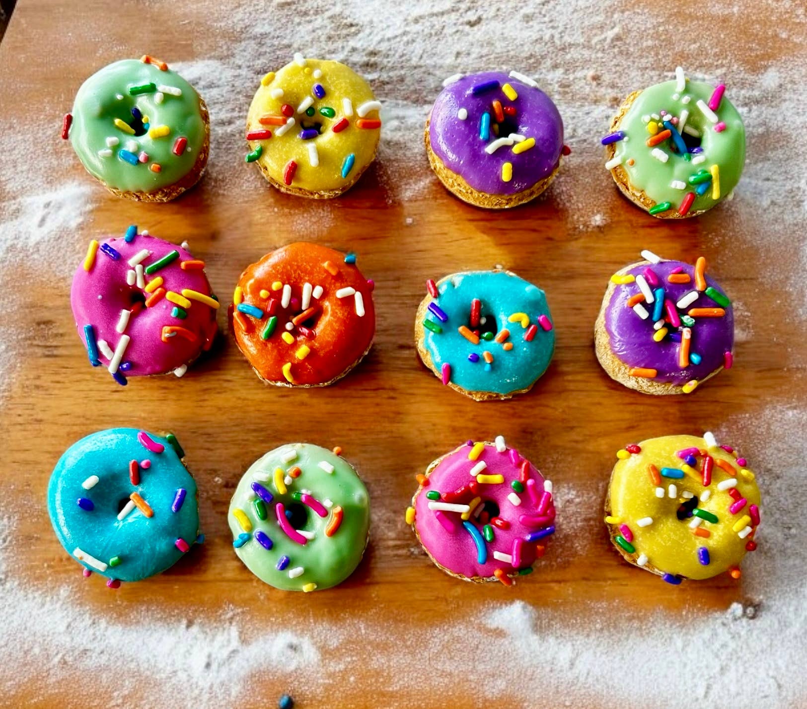 Mini 🍩 donut dog treats