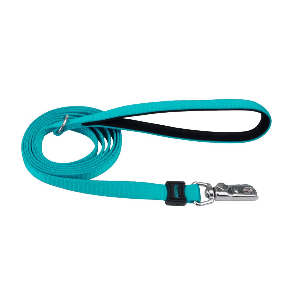 Coastal Pets Inspire Leash 5/8" x 6' Aqua