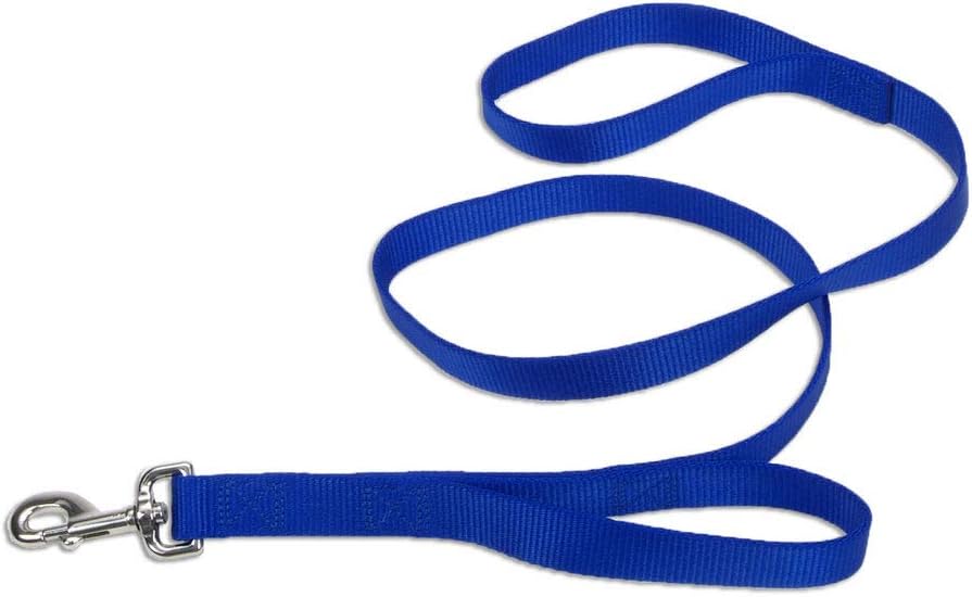 LOOPS-2 LEAD W/HANDLE 6' BLUE