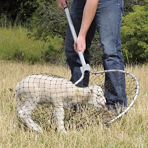Premier EZ Catch Net for Chicken Handling (37"- 57" Handle with 23" Net Opening & Teardrop Mesh)
