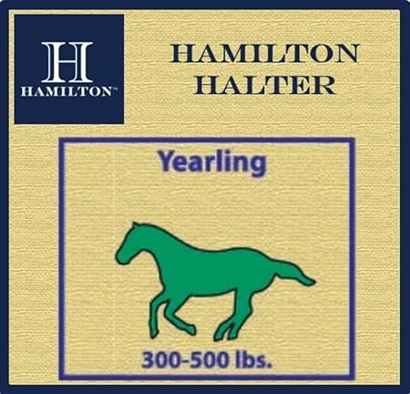 Hamilton Quality Horse Halter, 1" Triple Ply Nylon, Yearling or Standard Donkey, 300-500 lbs, Red