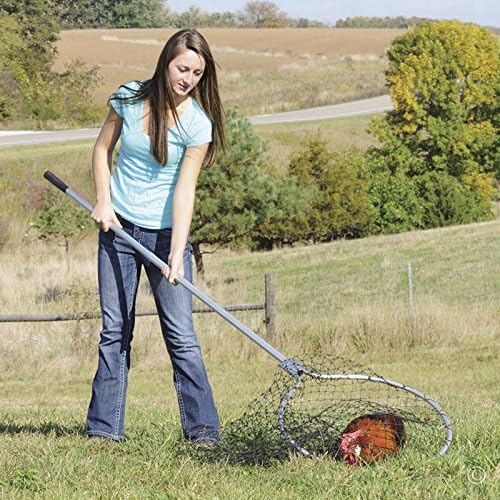 Premier EZ Catch Net for Chicken Handling (37"- 57" Handle with 23" Net Opening & Teardrop Mesh)