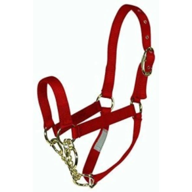 CALF HALTER CONTROL RED