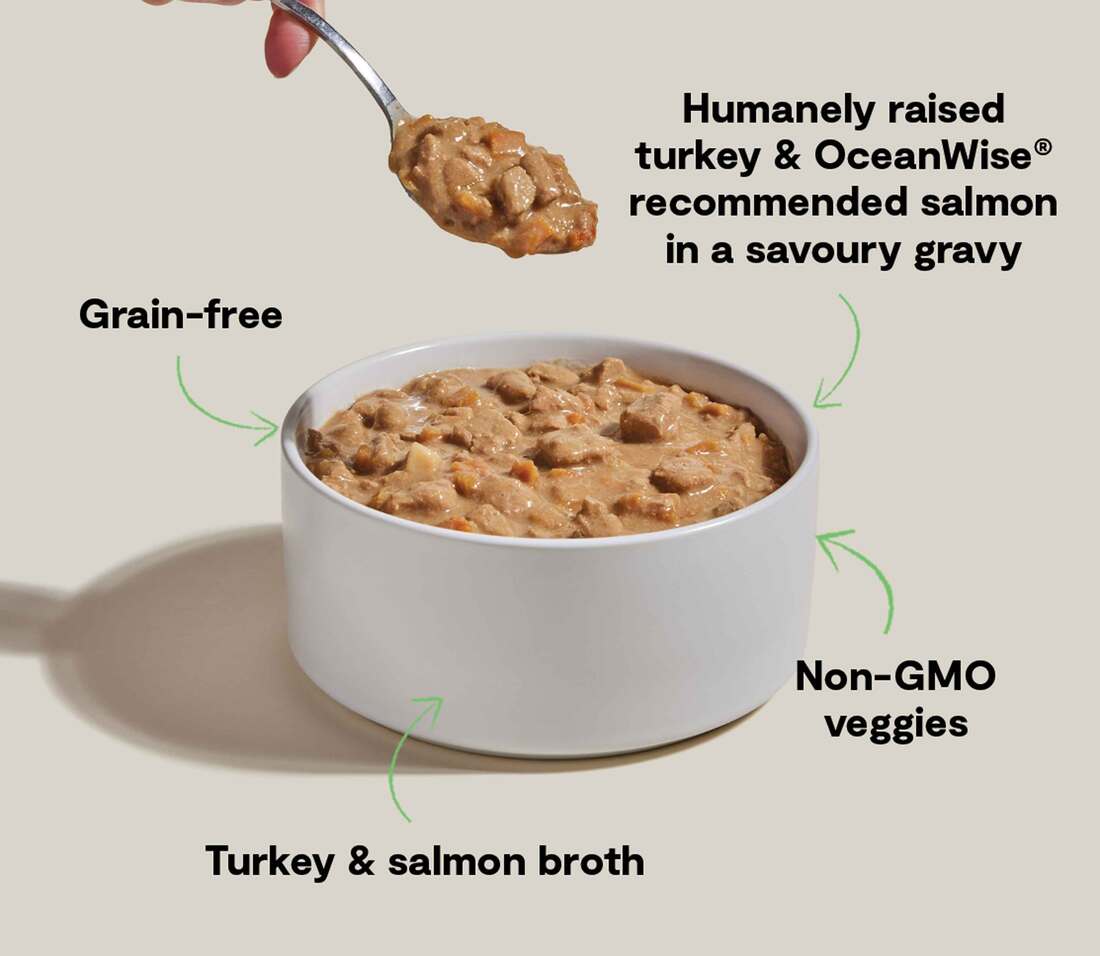 Open Farm Hearty Stew Turkey & Salmon, 12.5 Ounces