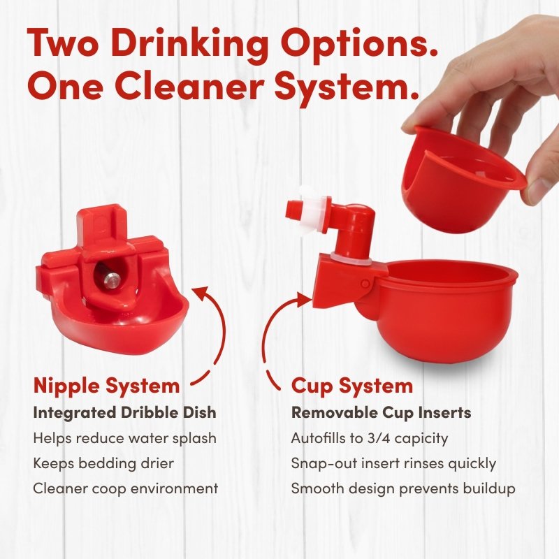 RentACoop Chick2Chicken 10lb Feeder & 2 Gal Waterer Set