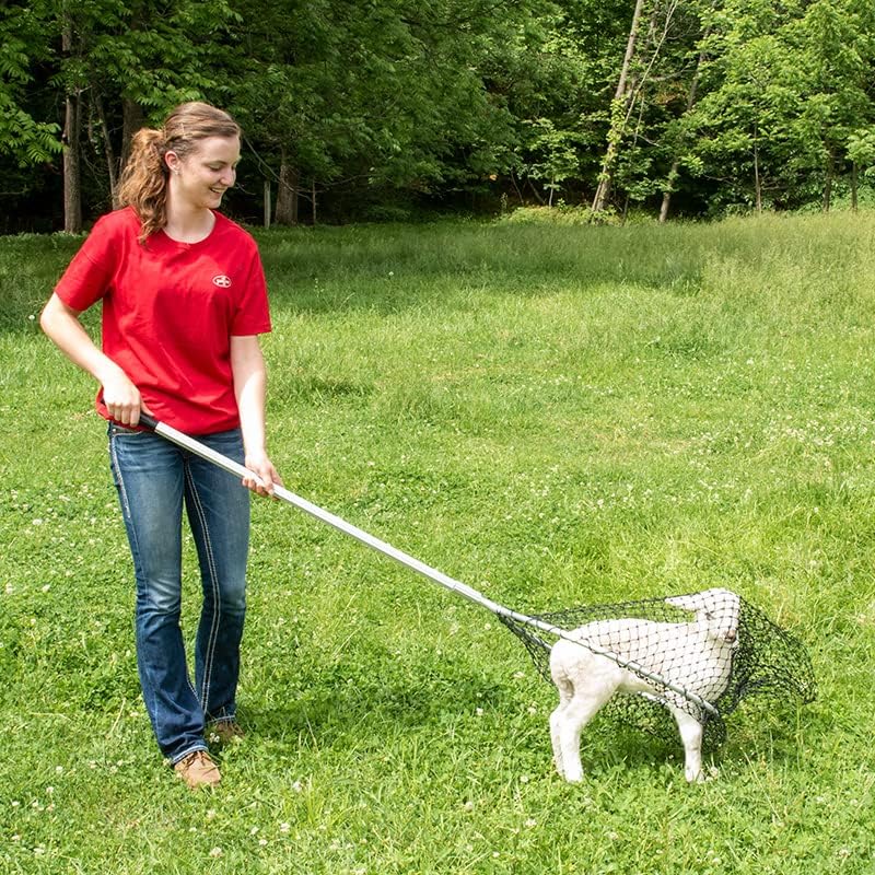 Premier EZ Catch Net for Chicken Handling (37"- 57" Handle with 23" Net Opening & Teardrop Mesh)