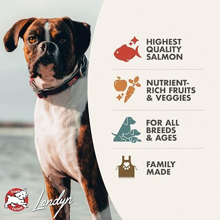Fromm Four-Star Salmon A La Veg Dog Food 26lb