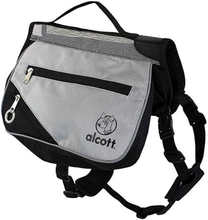 Alcott Medium Adventure Backpack